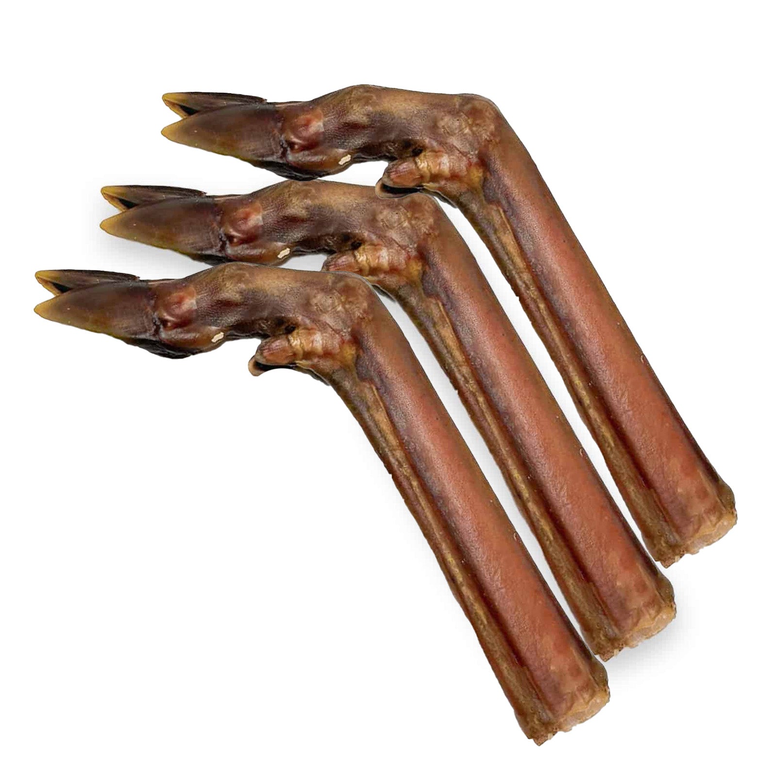 XL Deer Leg