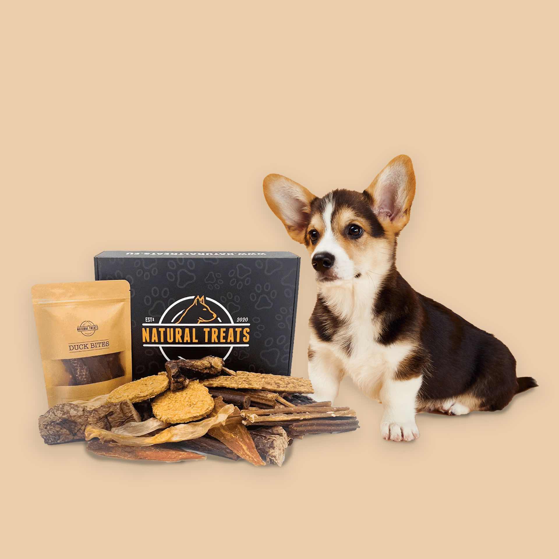Natural dog treats box for puppies