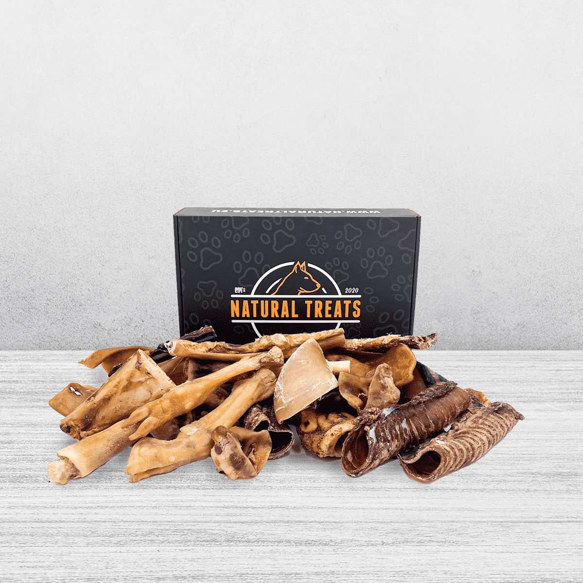 Tough treat box for large dogs