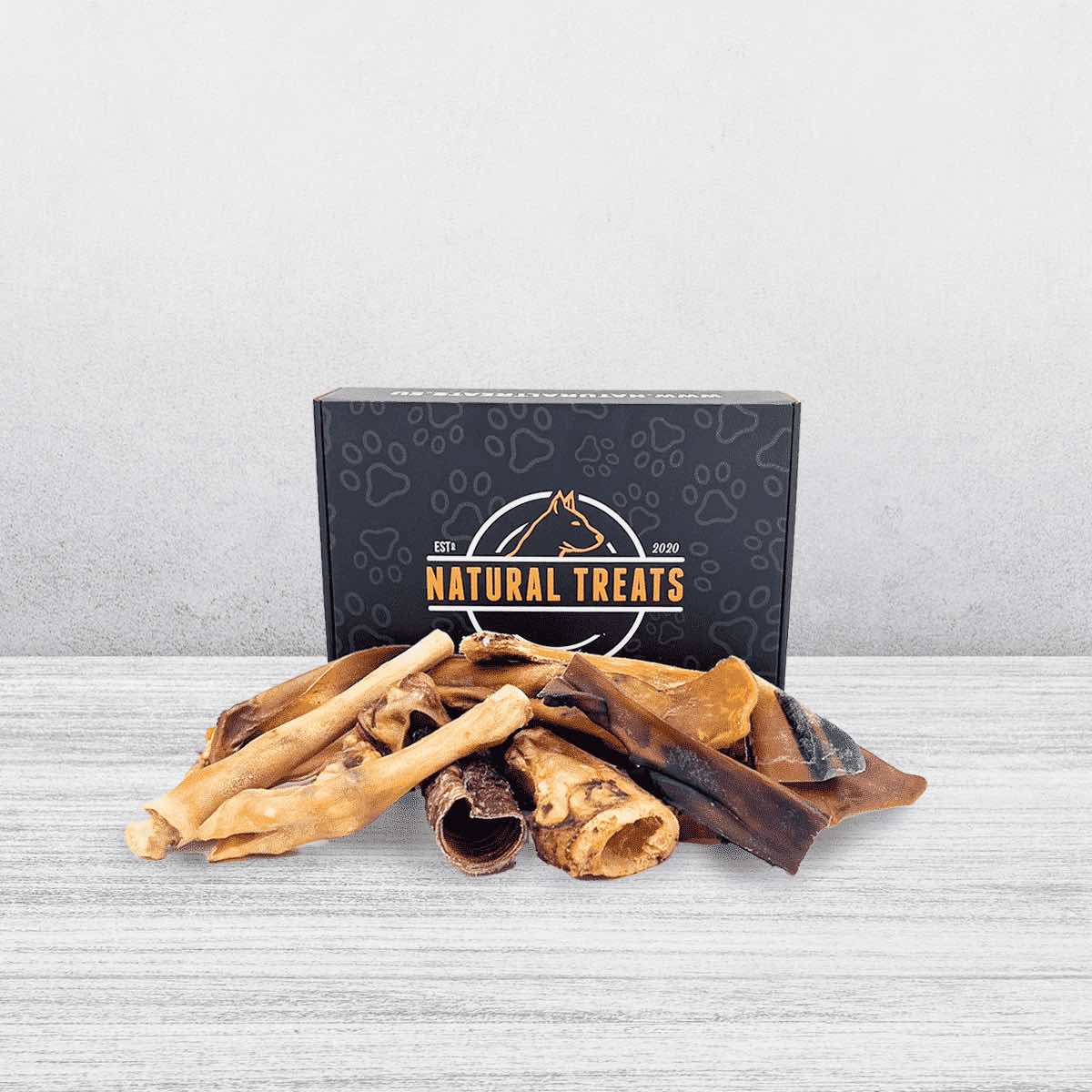 Tough treat box for large dogs