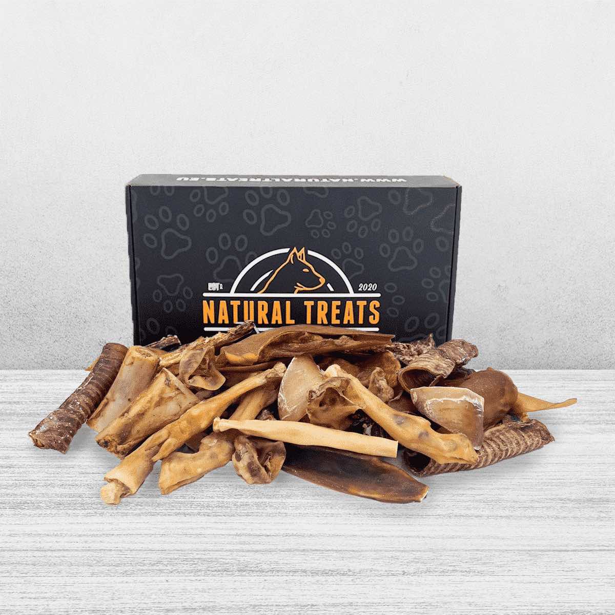 Tough treat box for large dogs