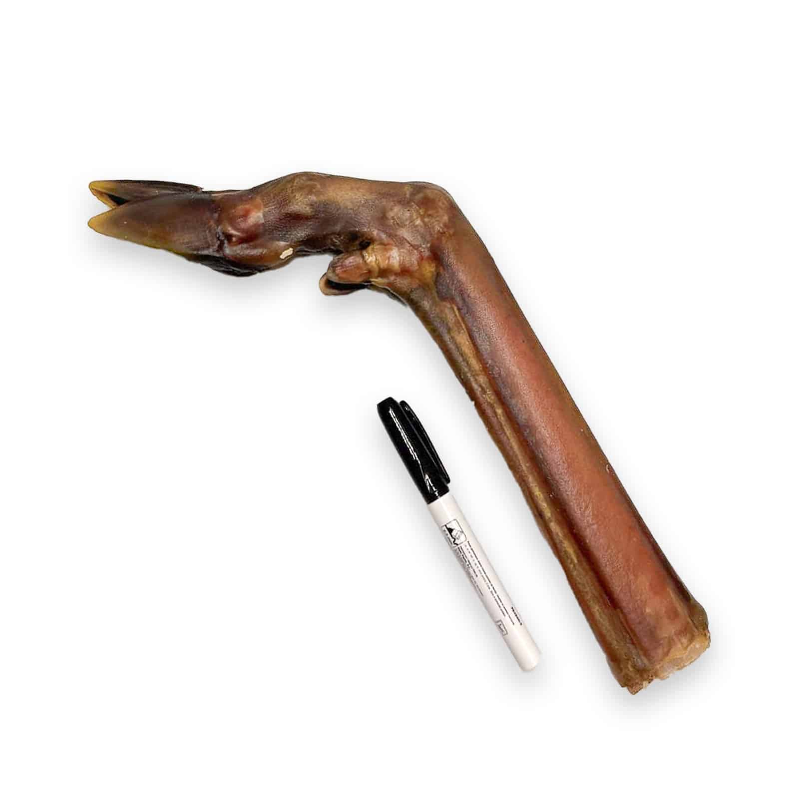 XL Deer Leg